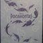 The Art of Pocahontas