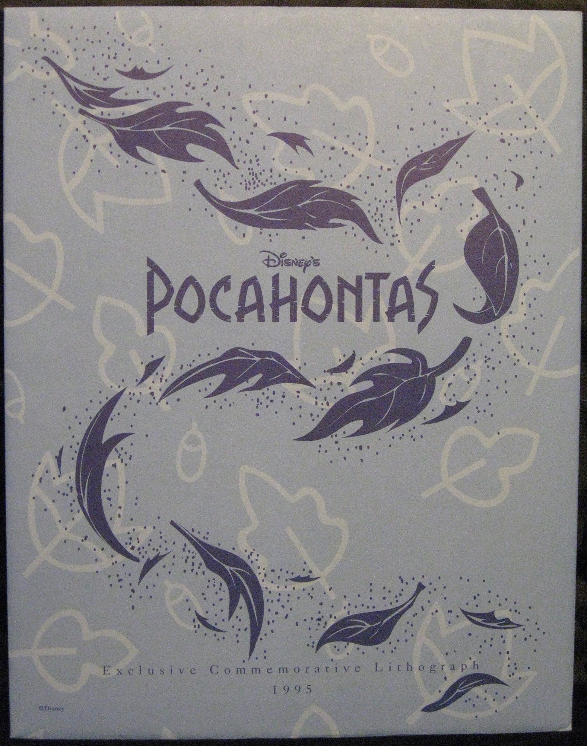 The Art of Pocahontas