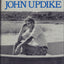Hugging the Shore: Essays and Criticism