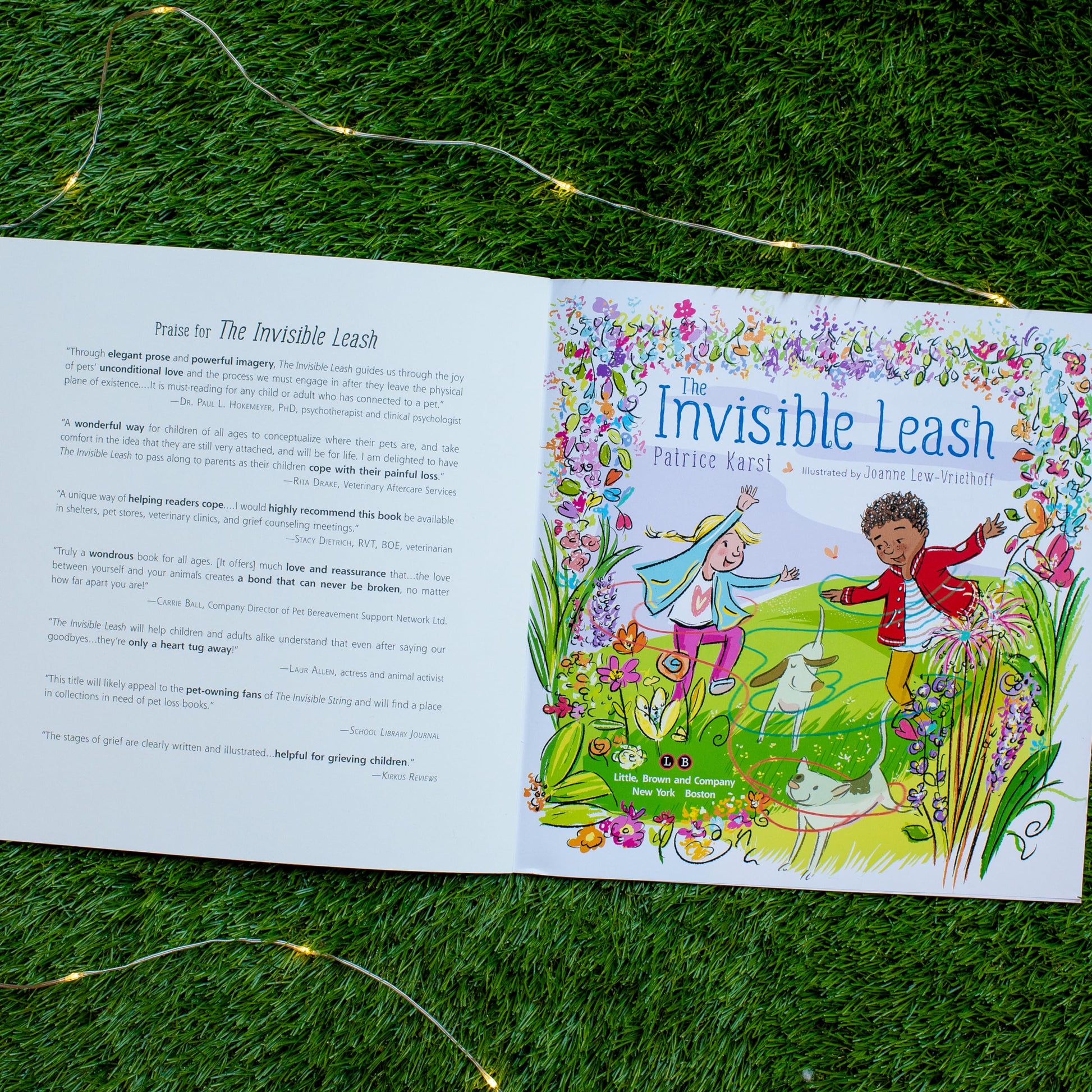 The Invisible Leash: An Invisible String Story About the Loss of a Pet (The Invisible String, 3)