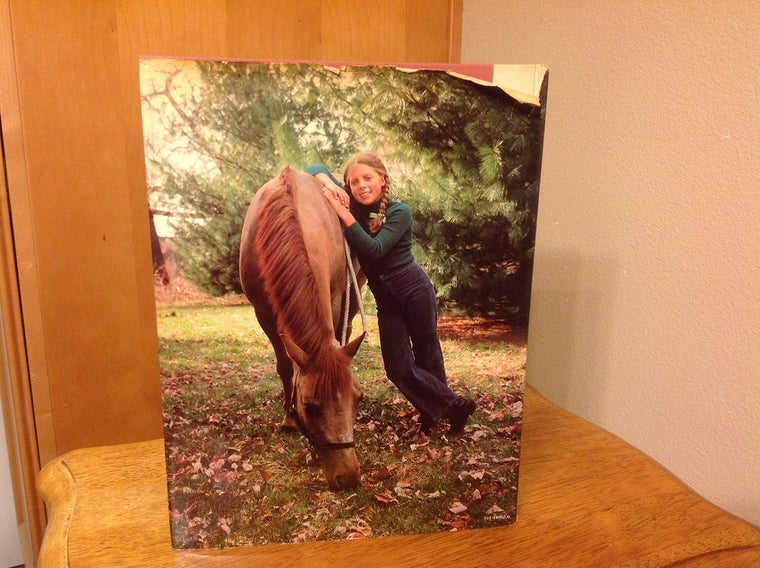 A Very Young Rider — back cover
