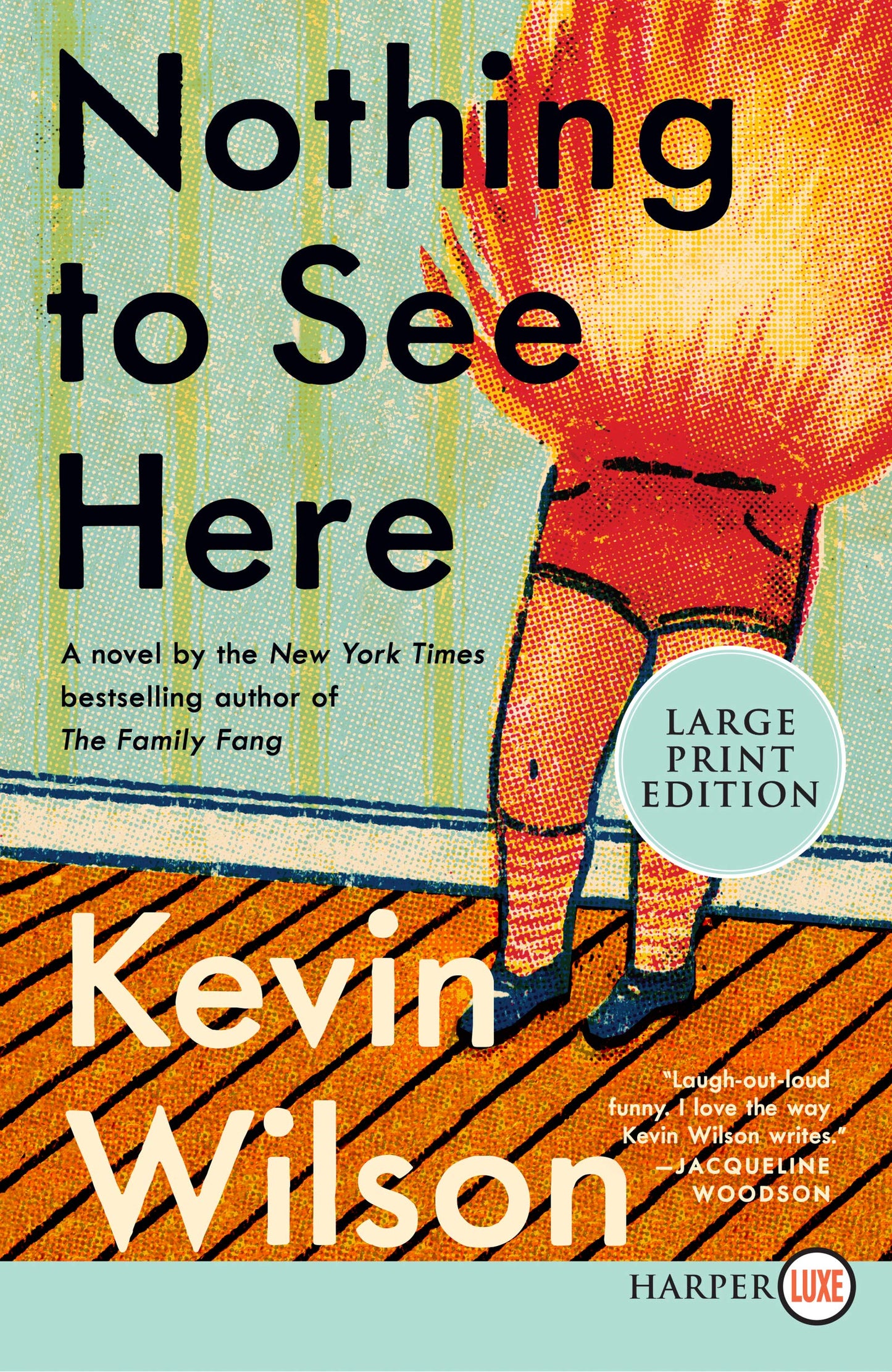 Nothing to See Here: A Novel