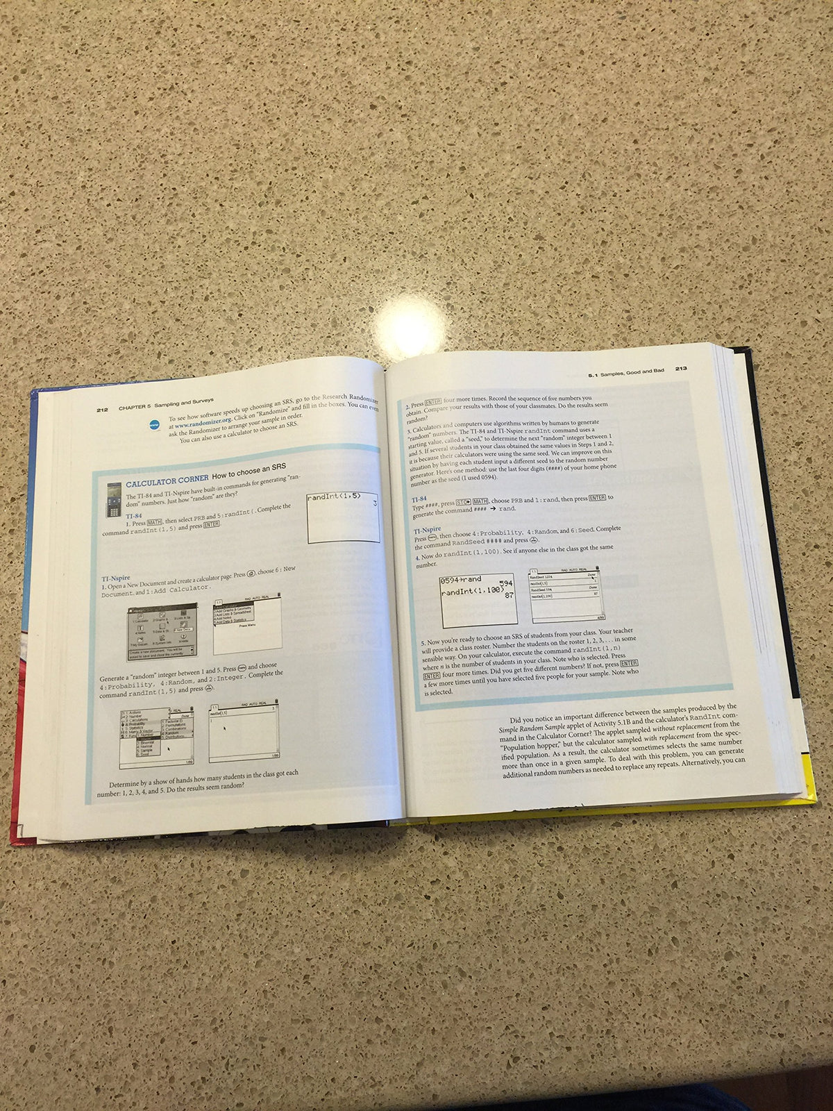 Statistics Through Applications