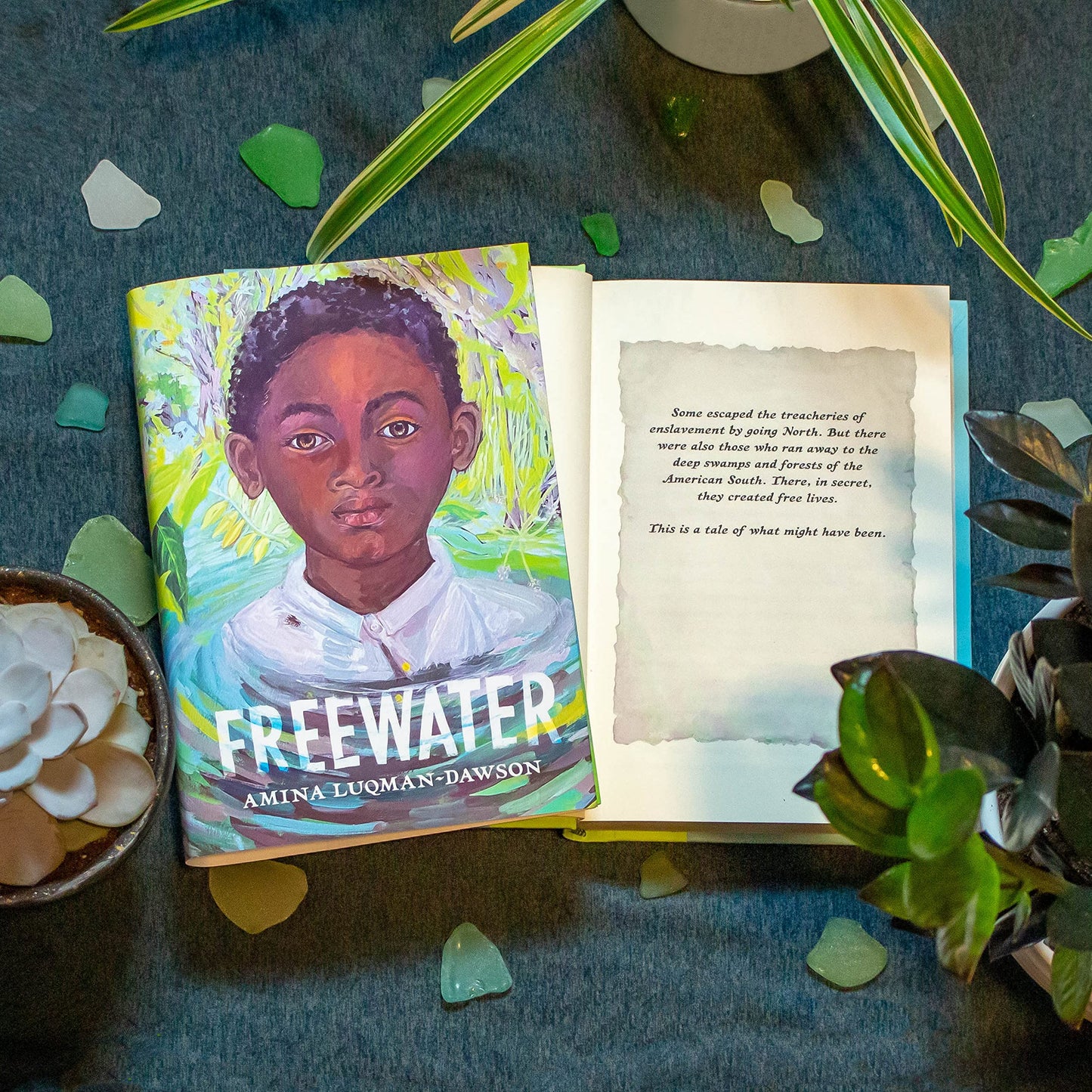 Freewater (Newbery & Coretta Scott King Award Winner) by Luq