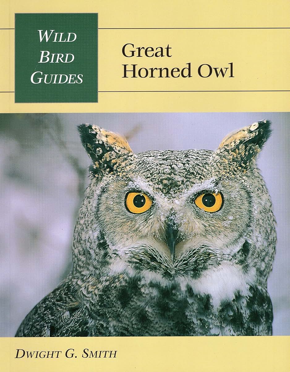 Wild Bird Guide: Great Horned Owl (Wild Bird Guides)