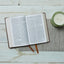 NRSV Catholic Edition Gift Bible, Teal Leathersoft (Comfort