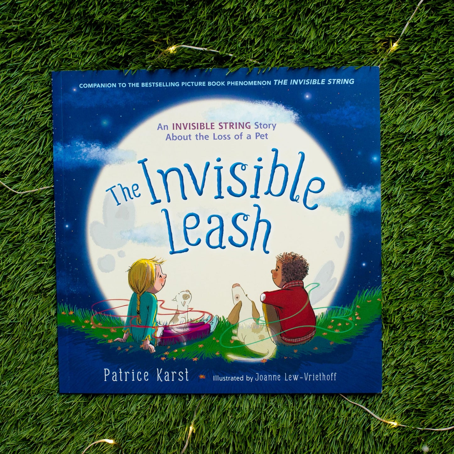 The Invisible Leash: An Invisible String Story About the Loss of a Pet (The Invisible String, 3)