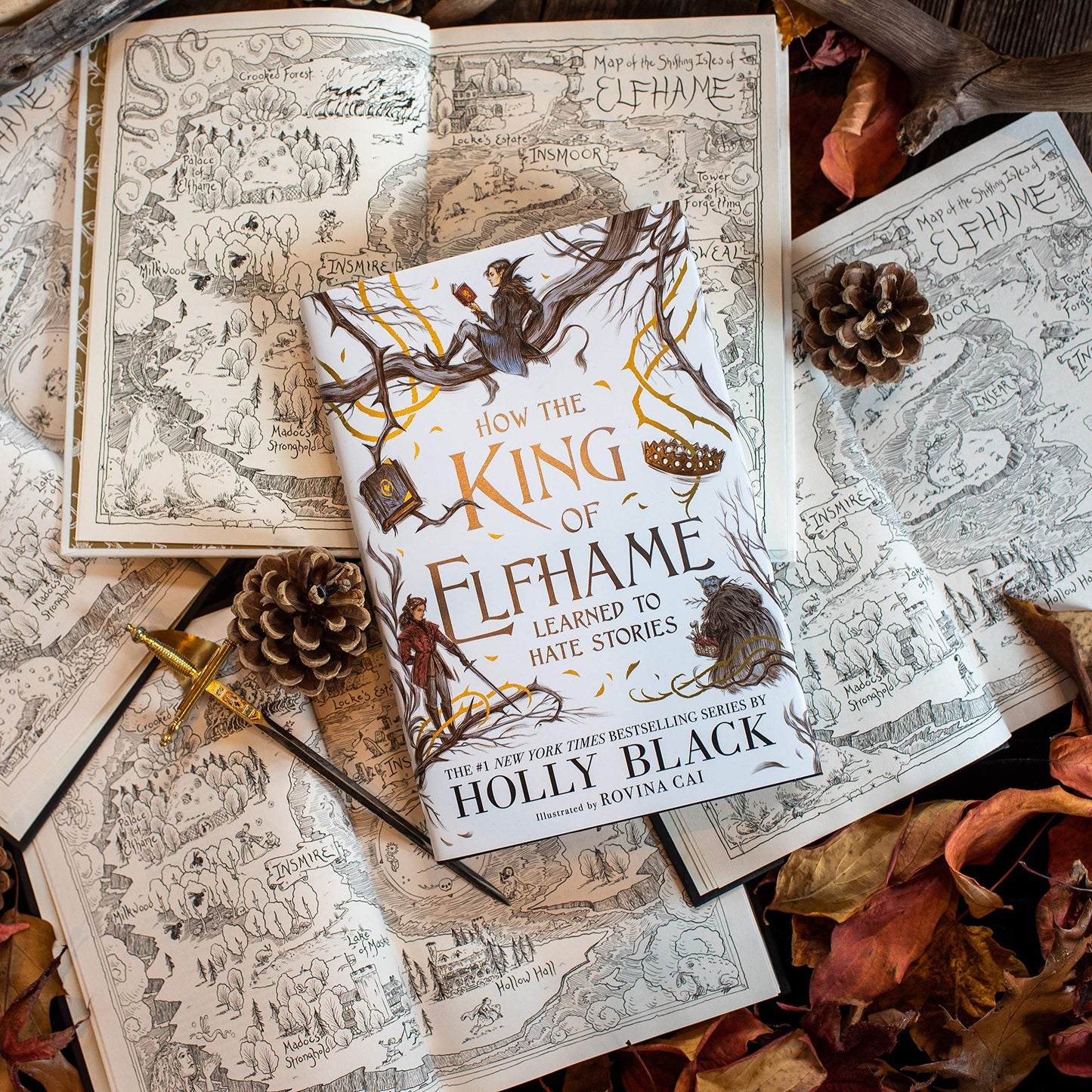 How the King of Elfhame Learned to Hate Stories (The Folk of