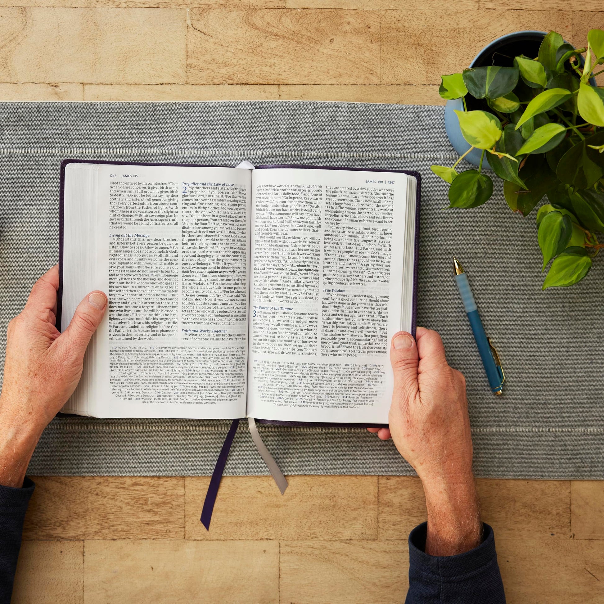 NET Bible, Large Print Thinline with Cross References, Brown Leathersoft, Comfort Print