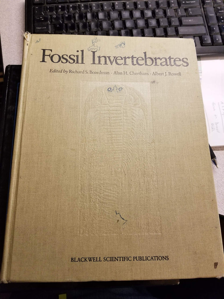 Fossil Invertebrates