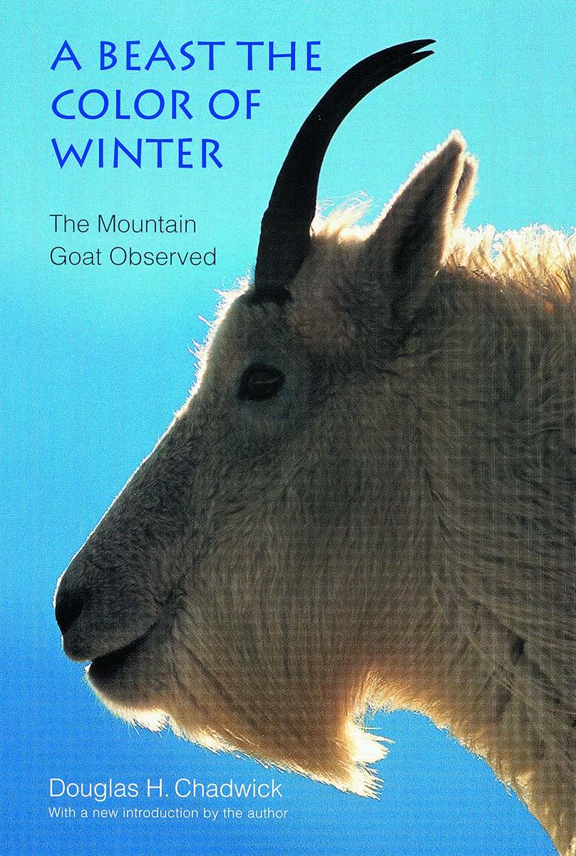A Beast the Color of Winter: The Mountain Goat Observed