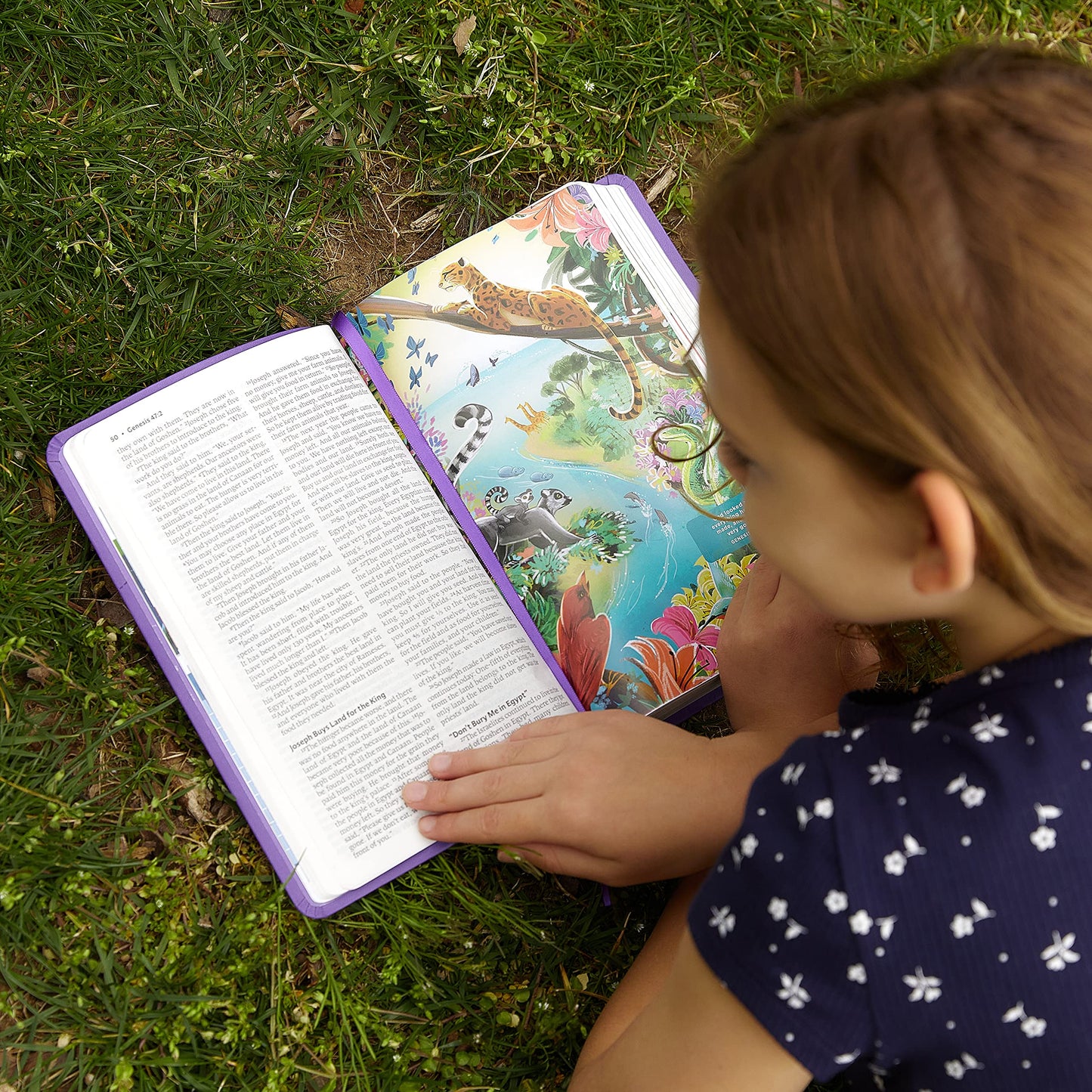 ICB, Holy Bible, Hardcover: International Children's Bible