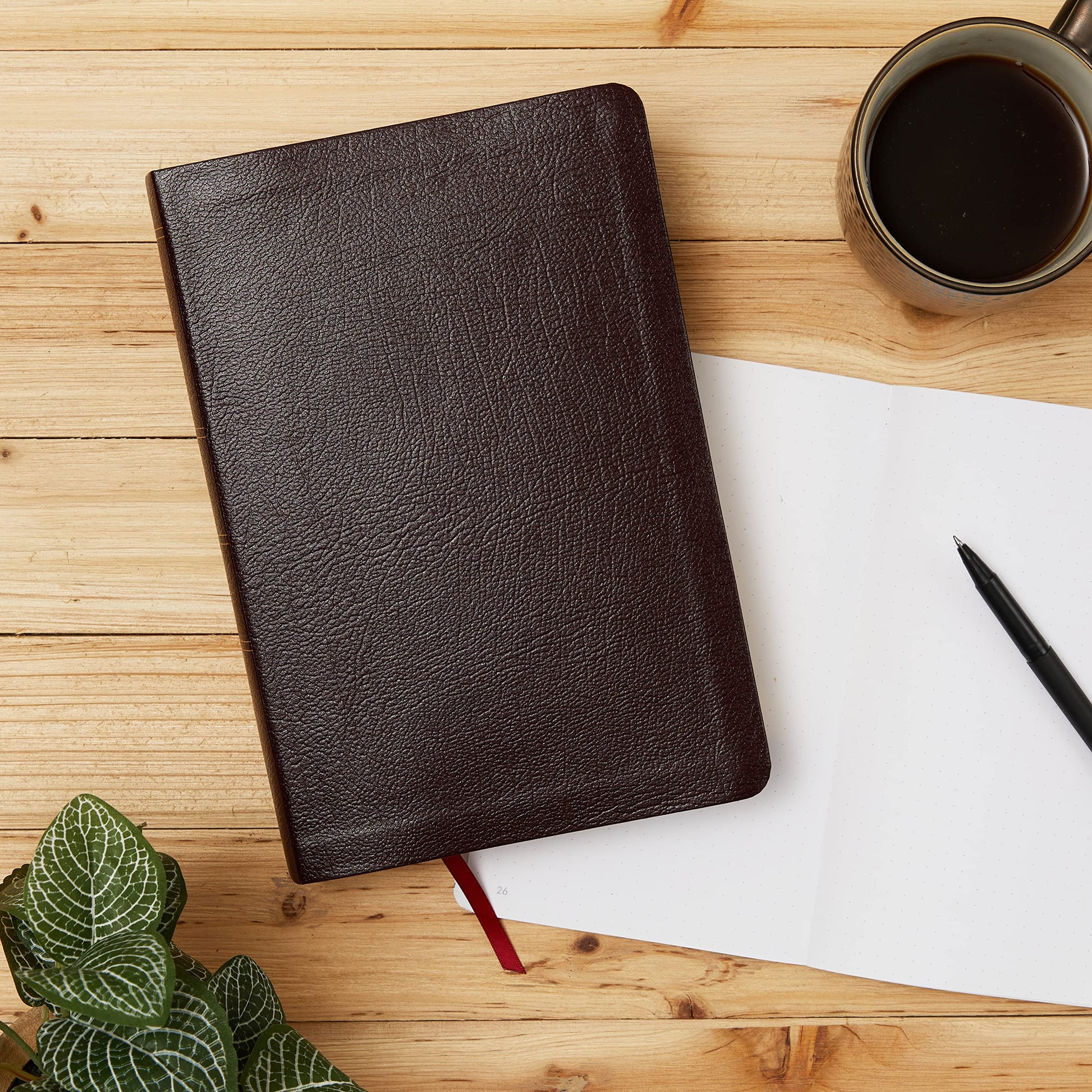 KJV Life in the Spirit Study Bible