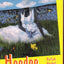 Hoodoo Medicine: Gullah Herbal Remedies