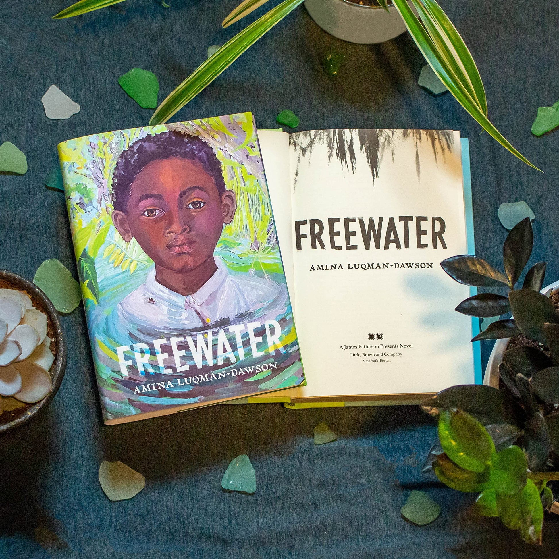 Freewater (Newbery & Coretta Scott King Award Winner)