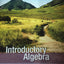 INTRODUCTORY ALGEBRA:CONCEPTS