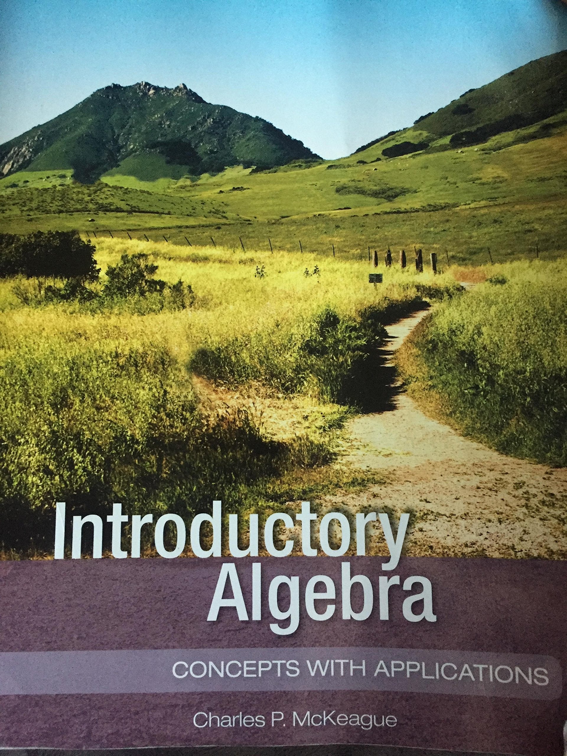 INTRODUCTORY ALGEBRA:CONCEPTS