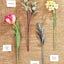 The Bouquet in a Book: Spring: Pre-punched pages to press out and make paper flowers