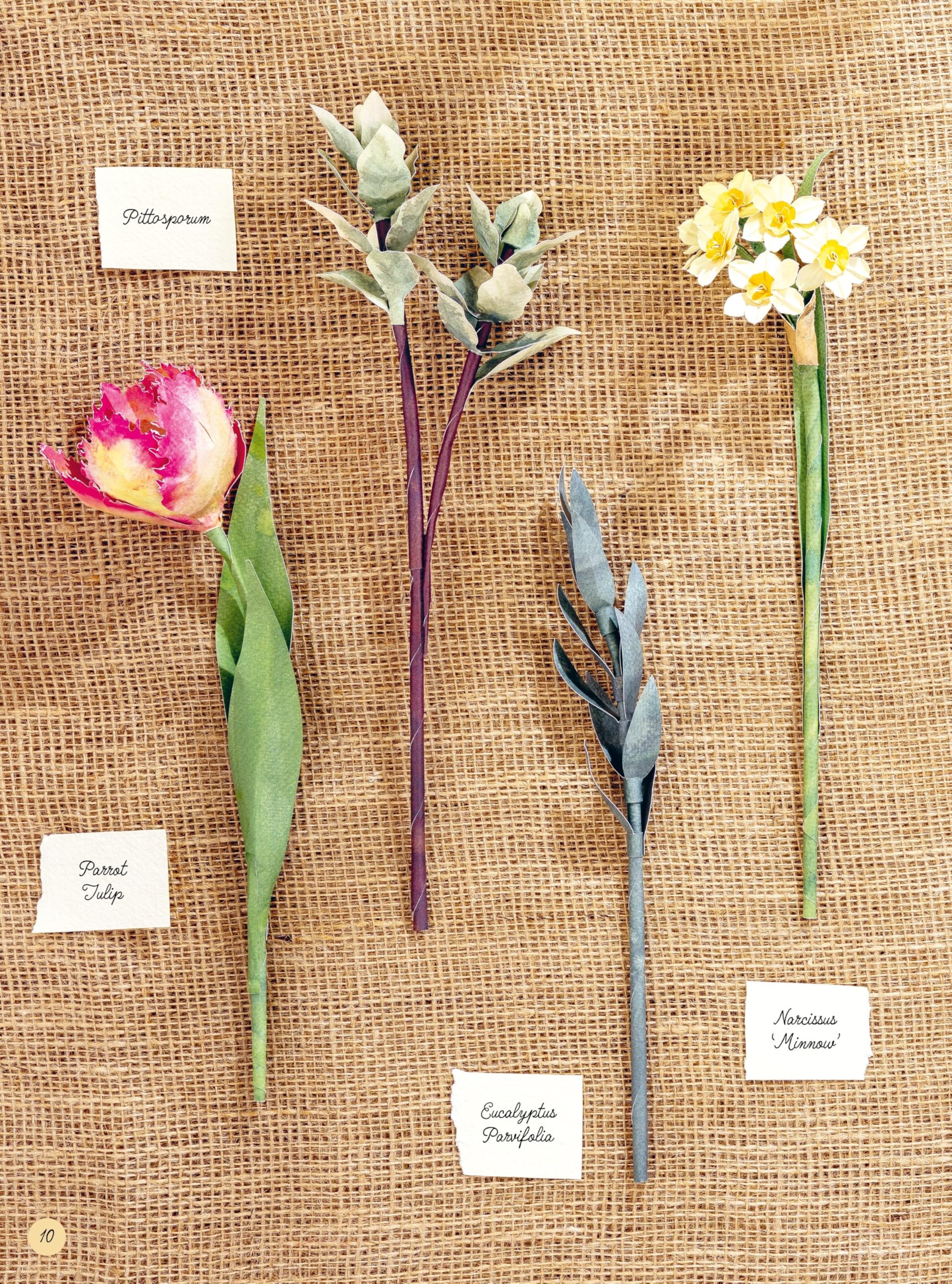 The Bouquet in a Book: Spring: Pre-punched pages to press out and make paper flowers