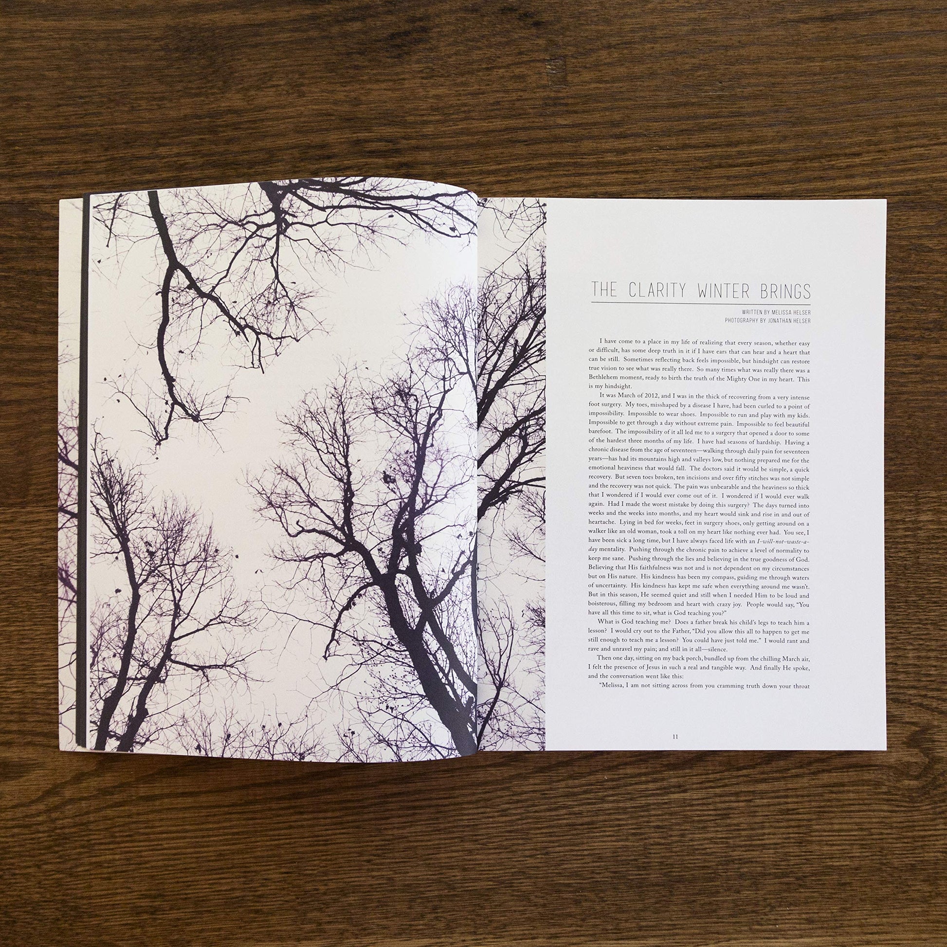 CULTIVATE VOL. II : The Clarity Winter Brings