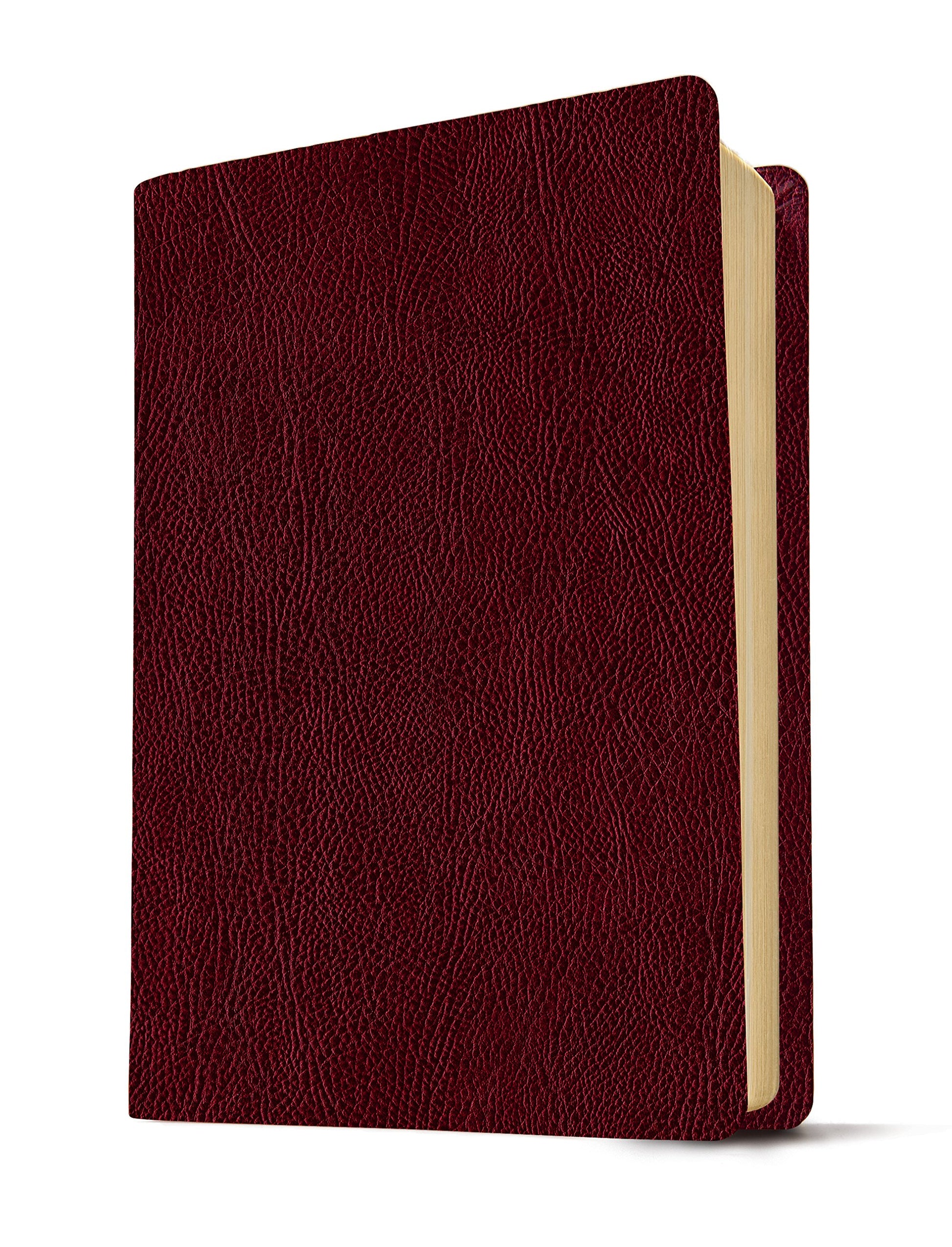 KJV Life Application Study Bible: Indexed (Burgundy Bonded Leather)