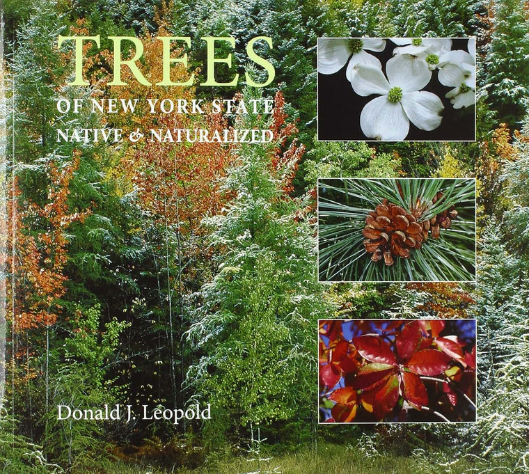Trees of New York State: Native and Naturalized (New York State Series)