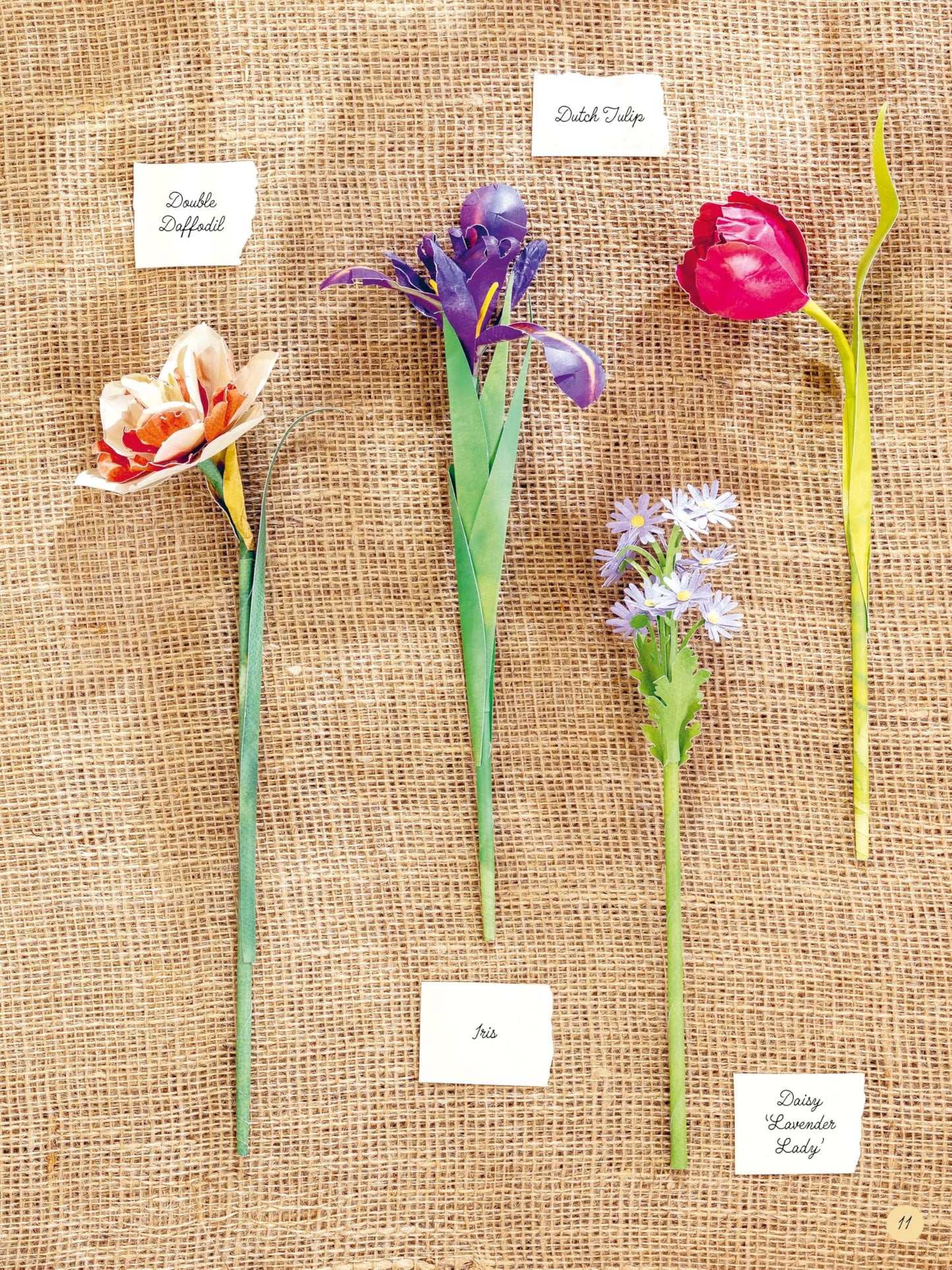 The Bouquet in a Book: Spring: Pre-punched pages to press out and make paper flowers