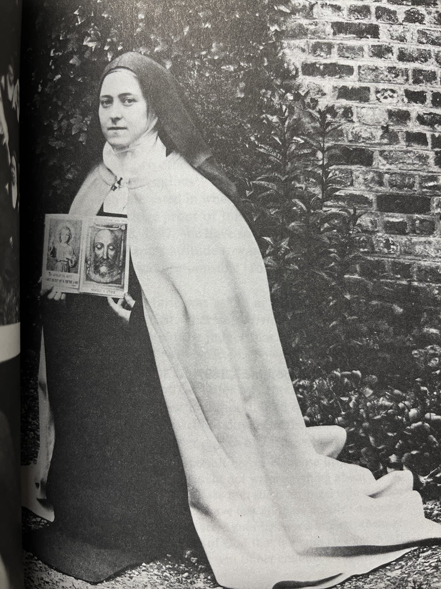 St. Therese of Lisieux: Her Last Conversations
