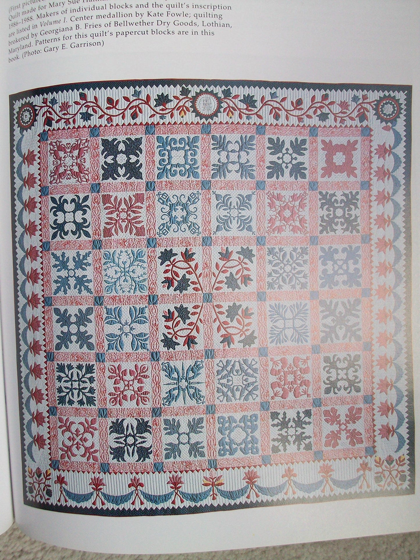 Papercuts and Plenty (Baltimore Beauties and Beyond: Studies in Classic Album Quilt Applique, Vol. 3)