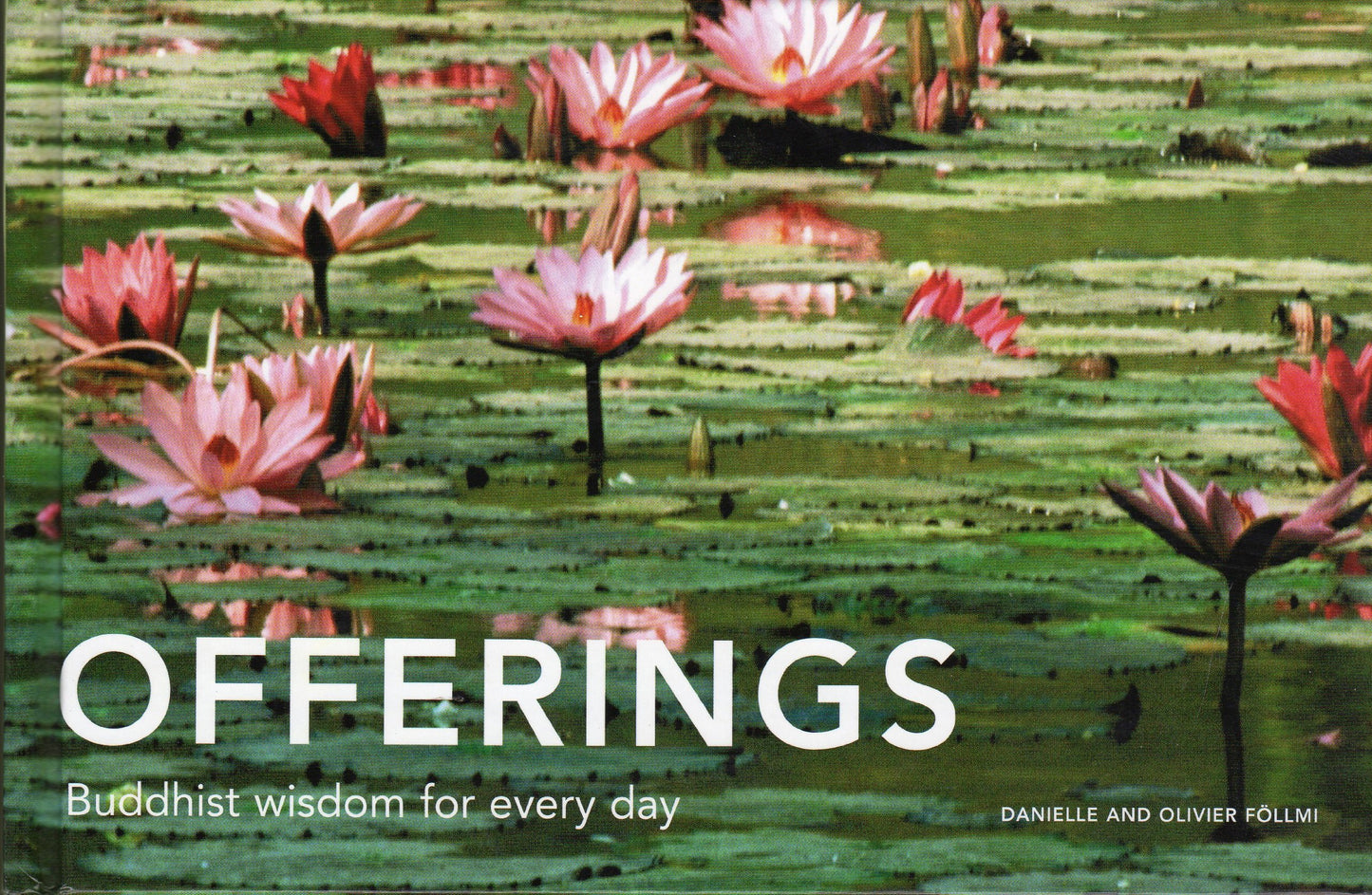 Offerings: Buddhist Wisdom for Every Day by Danielle Follmi