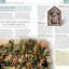 World History (Eyewitness Companions)