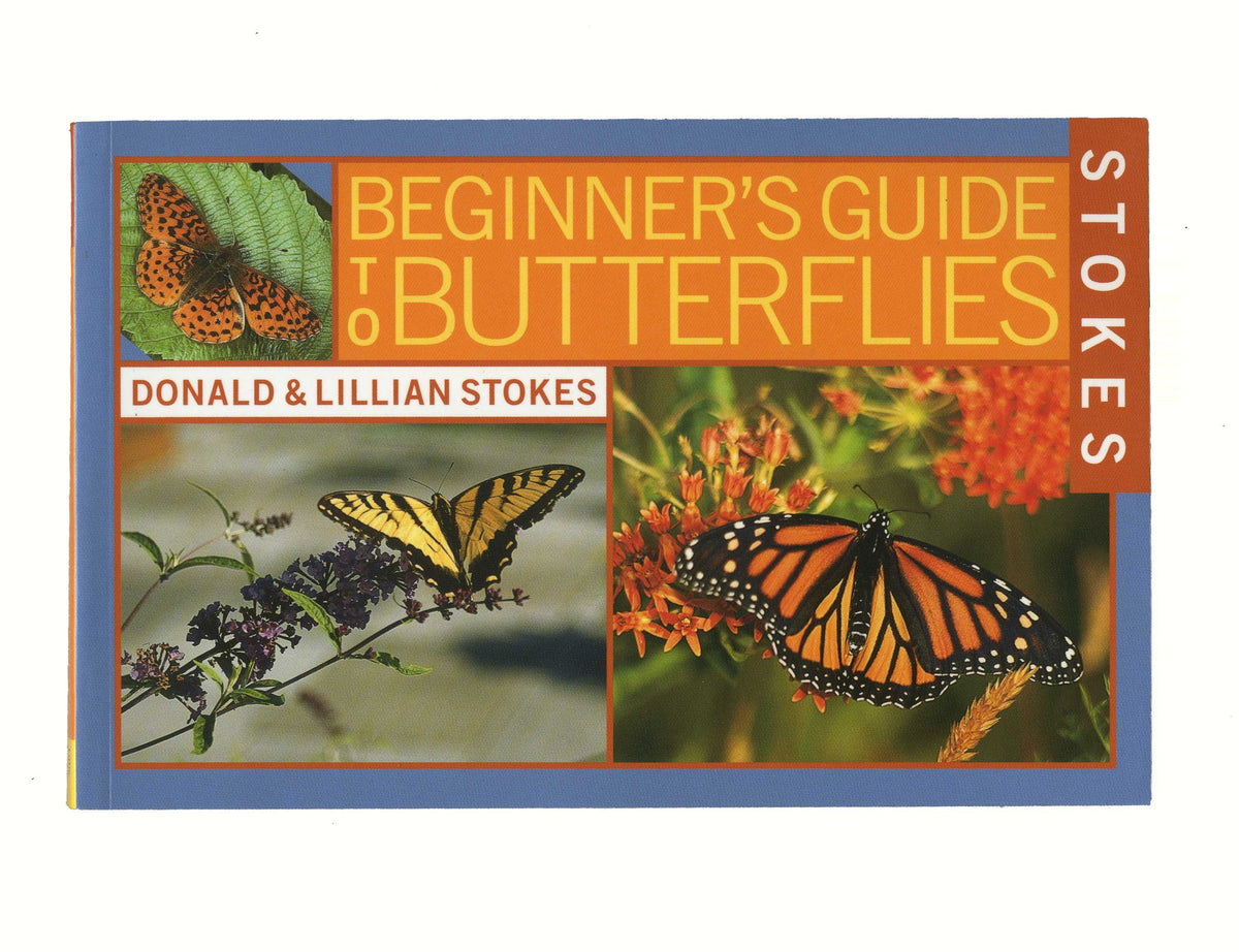 Stokes Beginner's Guide to Butterflies