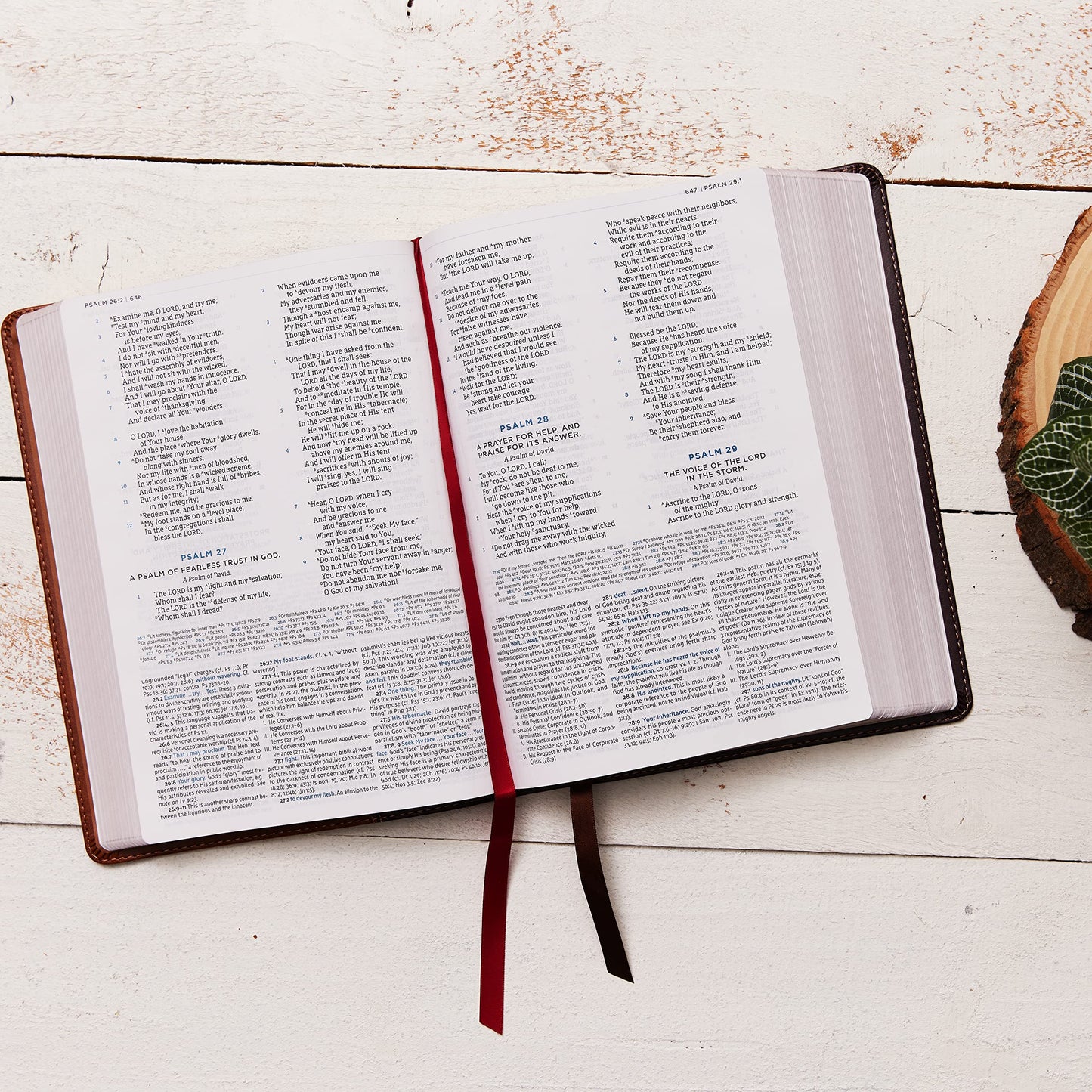 NASB, MacArthur Study Bible, 2nd Edition, Hardcover, Gray, Comfort Print: Unleashing God's Truth One Verse at a Time