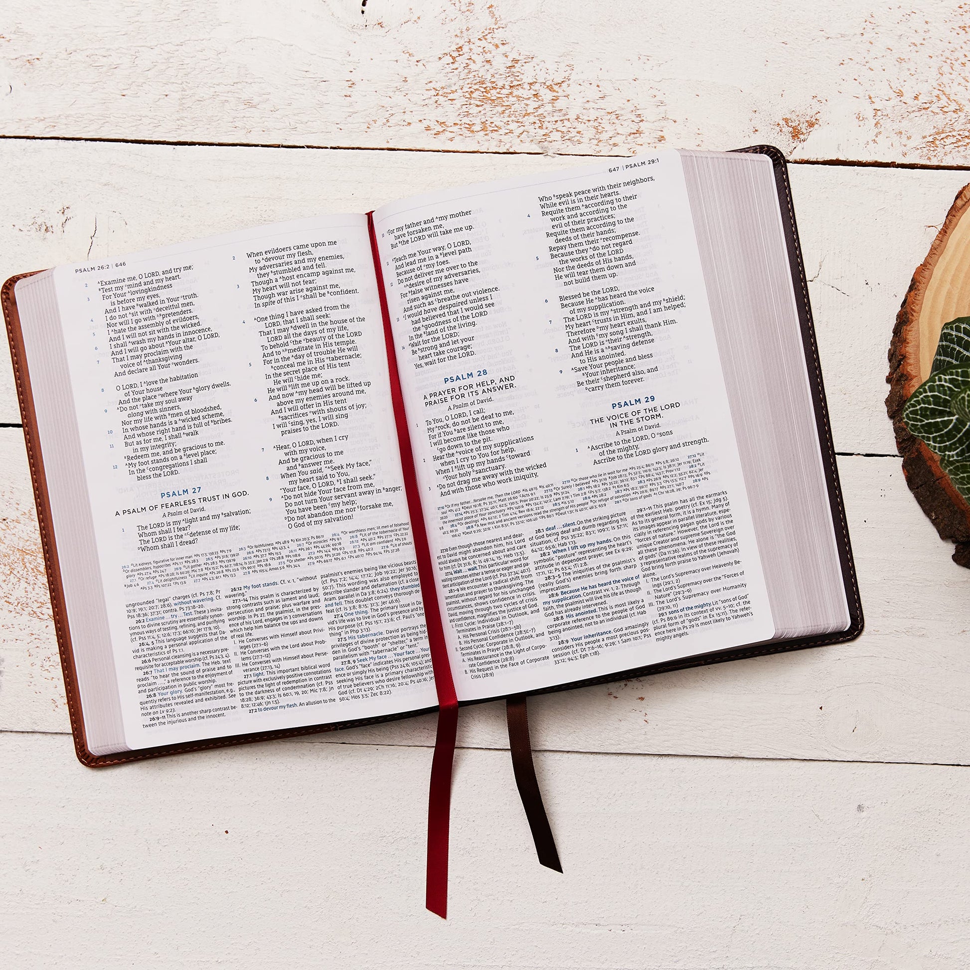 NASB, MacArthur Study Bible, 2nd Edition, Hardcover, Gray, Comfort Print: Unleashing God's Truth One Verse at a Time