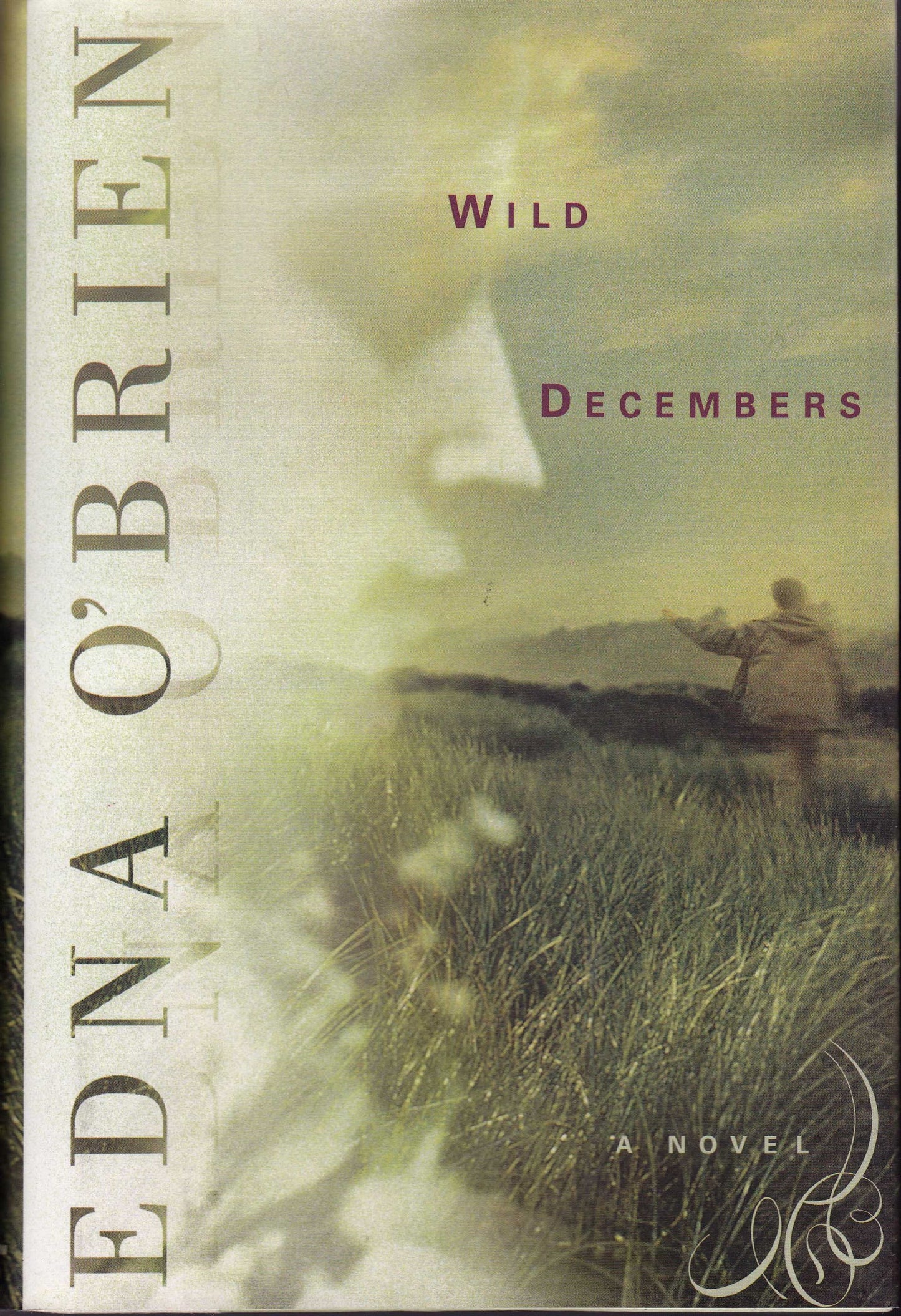 Wild Decembers by O'Brien, Edna