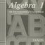 Saxon Algebra 1 Tests and Answer Key Third Edition by John H