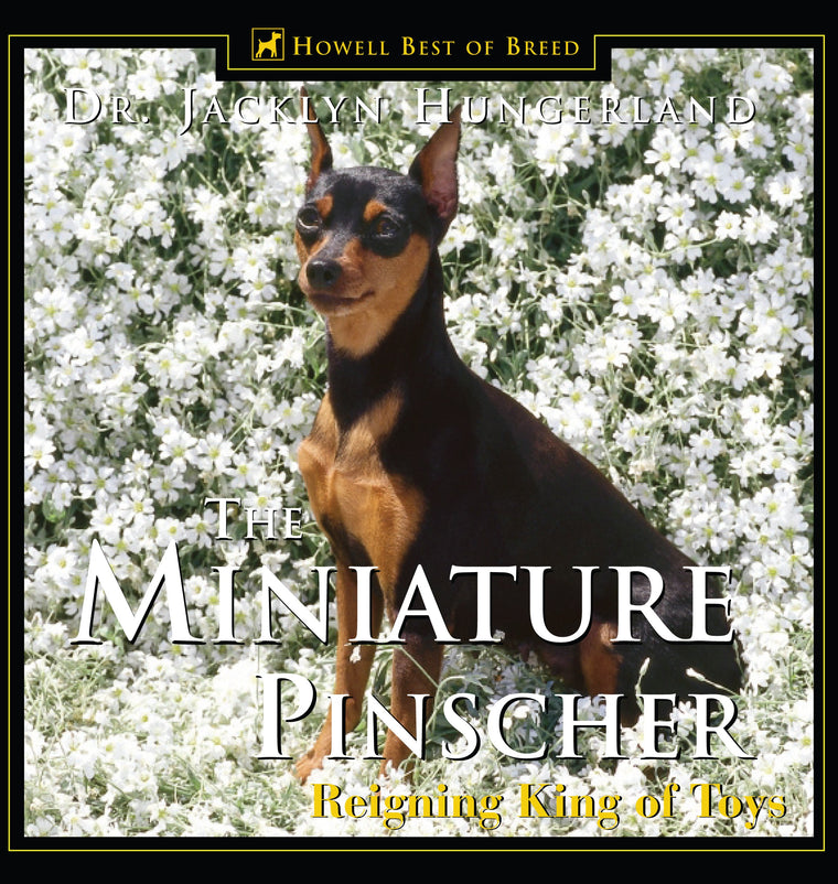 The Miniature Pinscher: Reigning King of Toys
