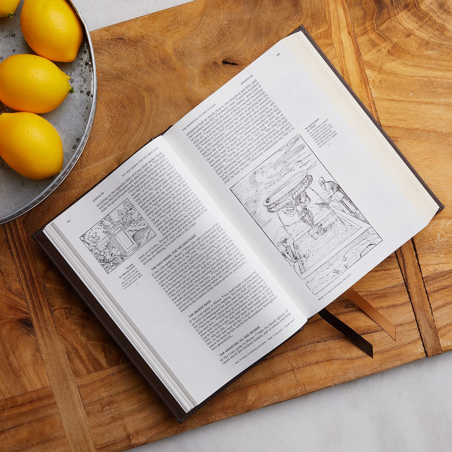 NRSVCE, Illustrated Catholic Bible, Leathersoft, Black, Comfort Print: Holy Bible