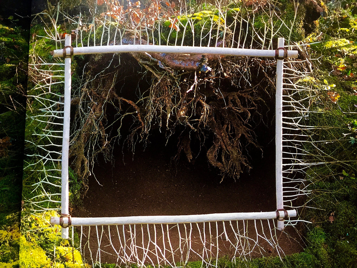 Nils Udo: Art In Nature