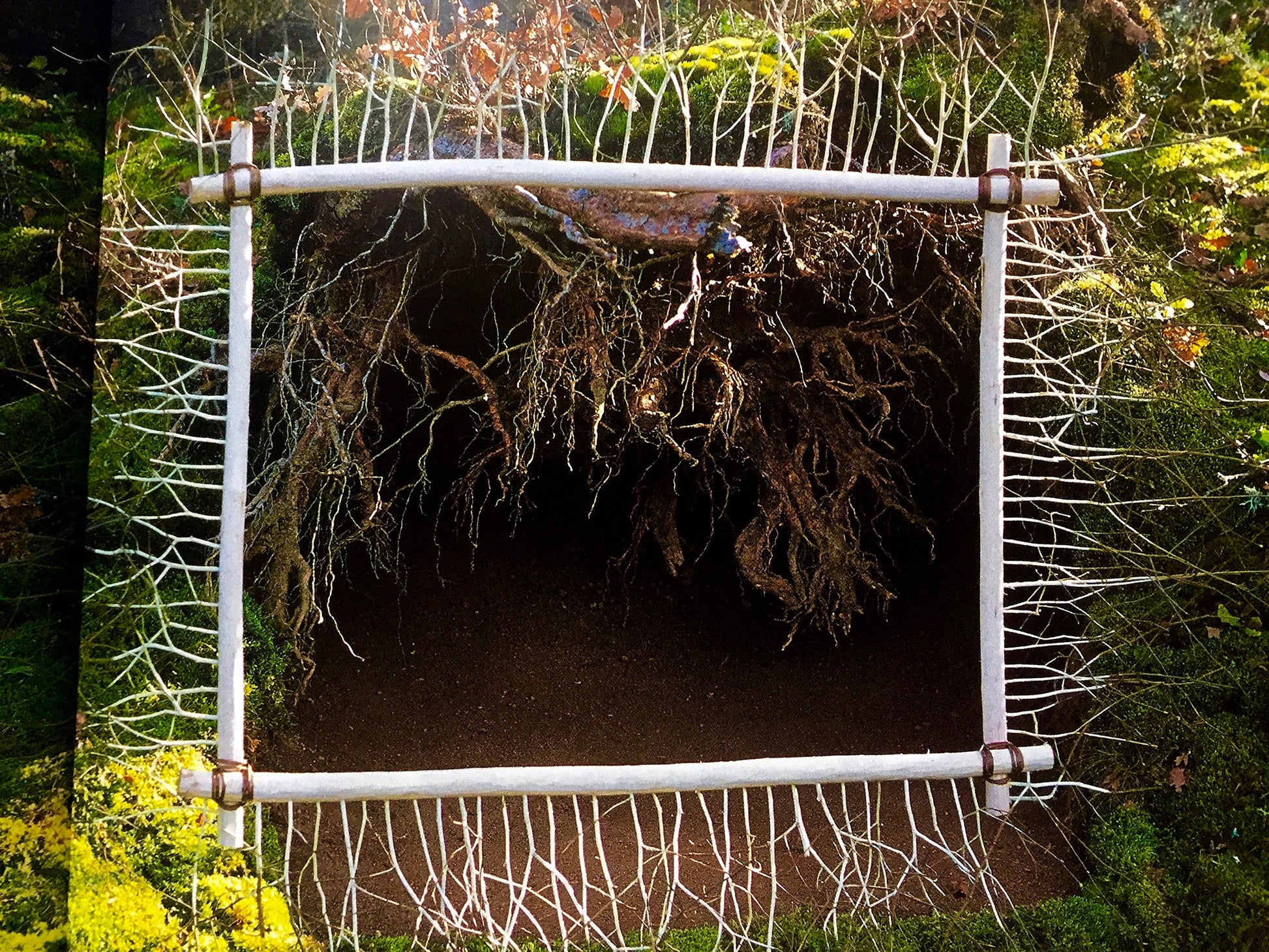 Nils Udo: Art In Nature