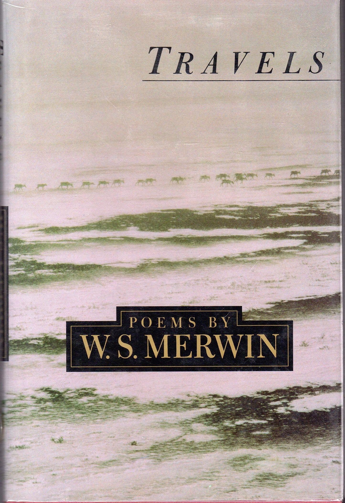 Travels by Merwin, W.S.
