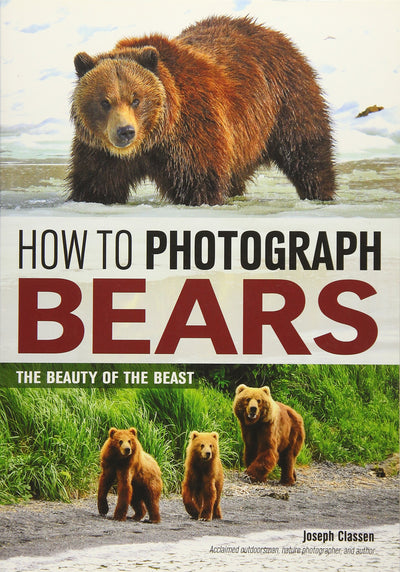 How to Photograph Bears: The Beauty of the Beast