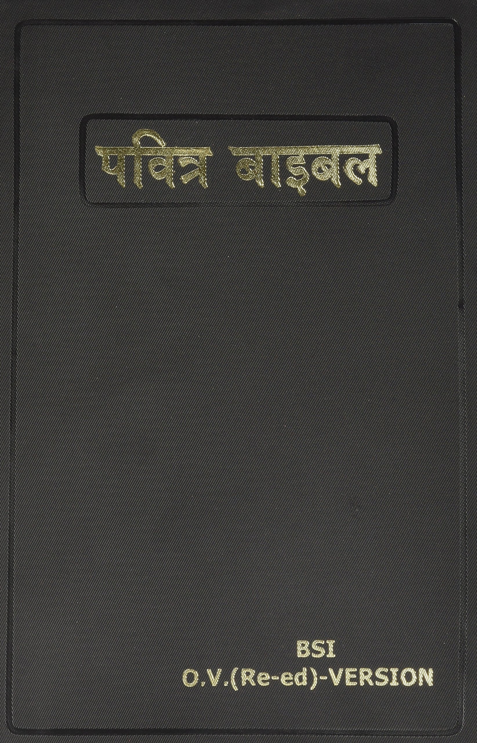 Hindi Bible (Hindi Edition)