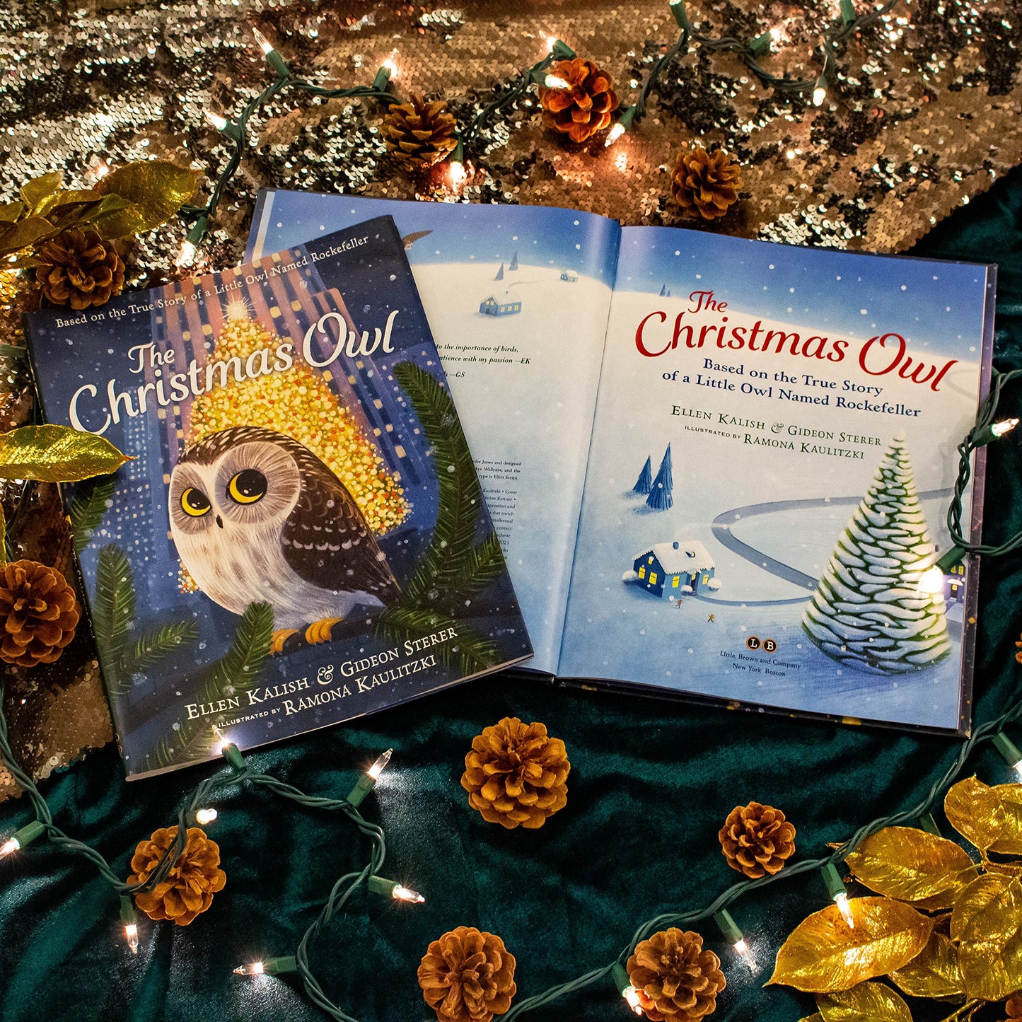 The Christmas Owl: Based on the True Story of a Little Owl N