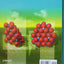 Materials Science and Engineering: An Introduction, 8th Edit