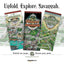 Savannah Historic District Illustrated Map.
