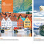 Fodor's Essential Norway (Full-color Travel Guide)