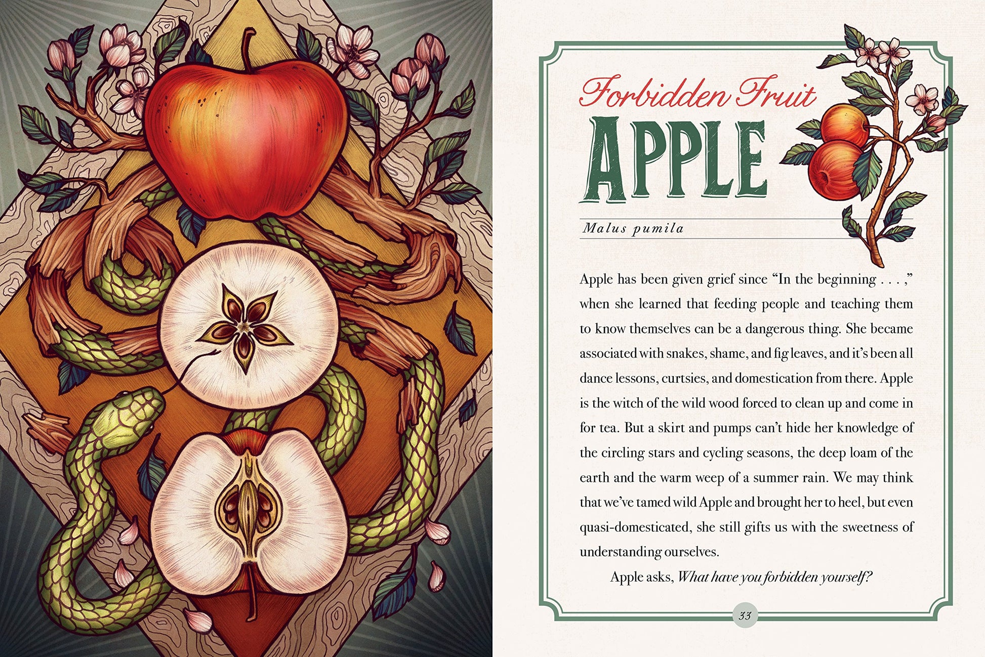 The Illustrated Herbiary: Guidance and Rituals from 36 Bewitching Botanicals (Wild Wisdom)