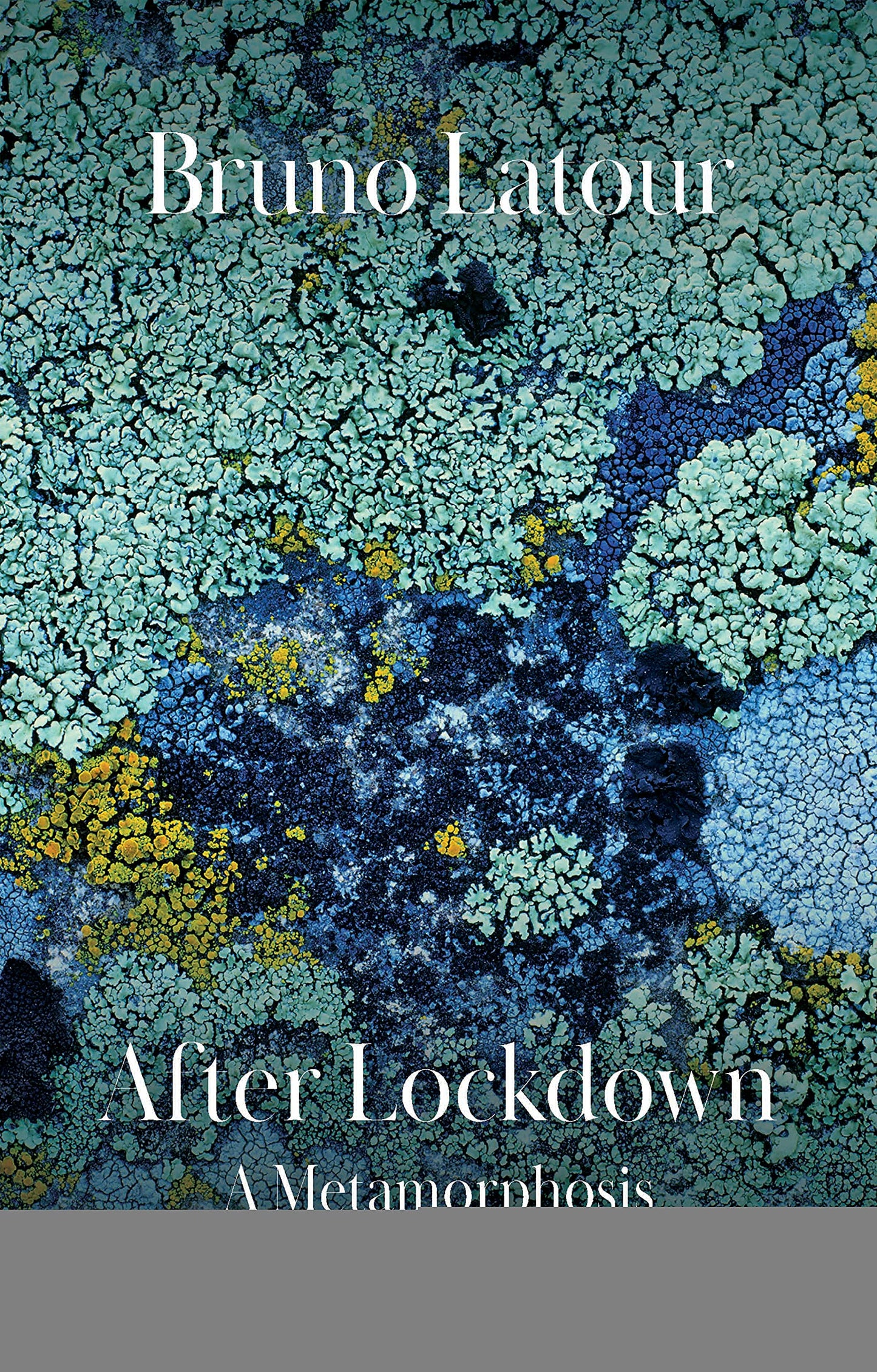 After Lockdown: A Metamorphosis