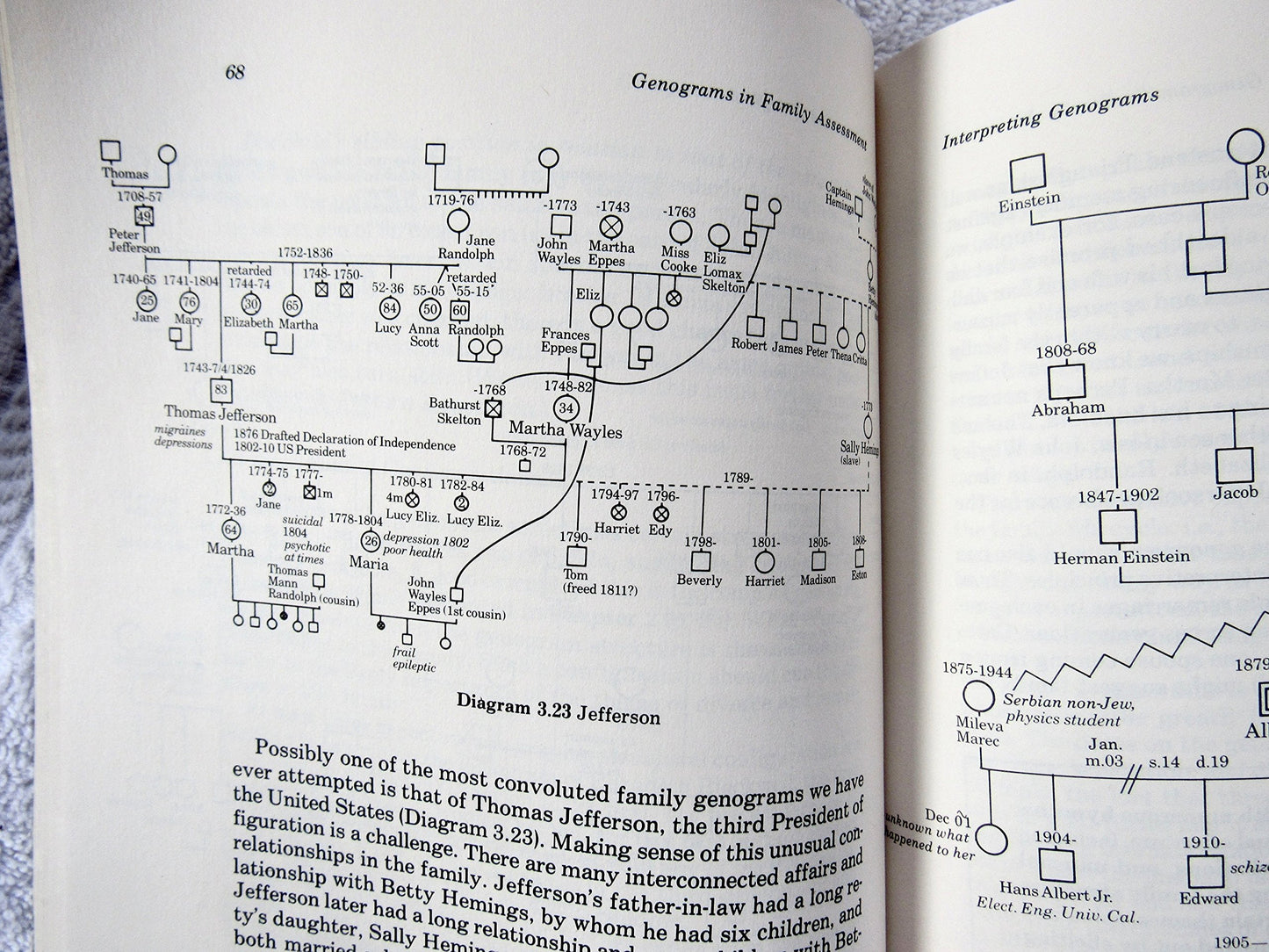 Genograms in Family Assessment